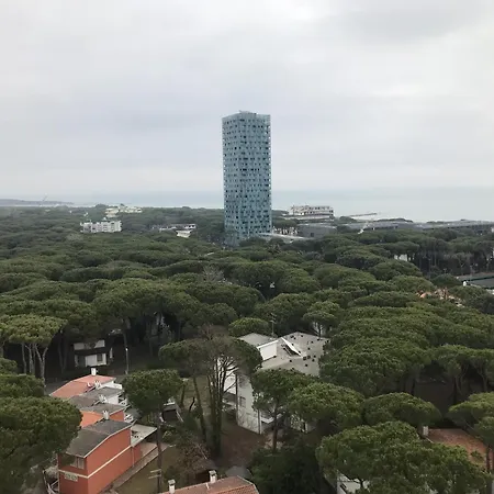 Apartment Pineta 126